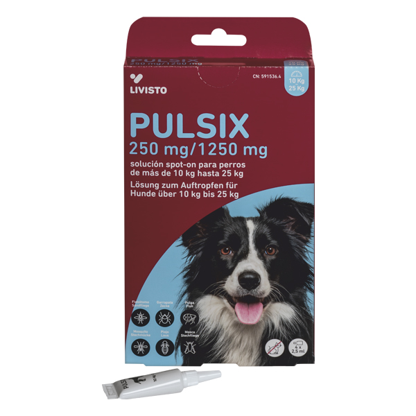 PULSIX 250 mg/1250 mg