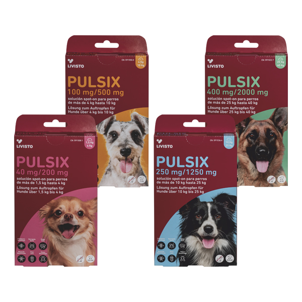 PULSIX 100 mg/500 mg