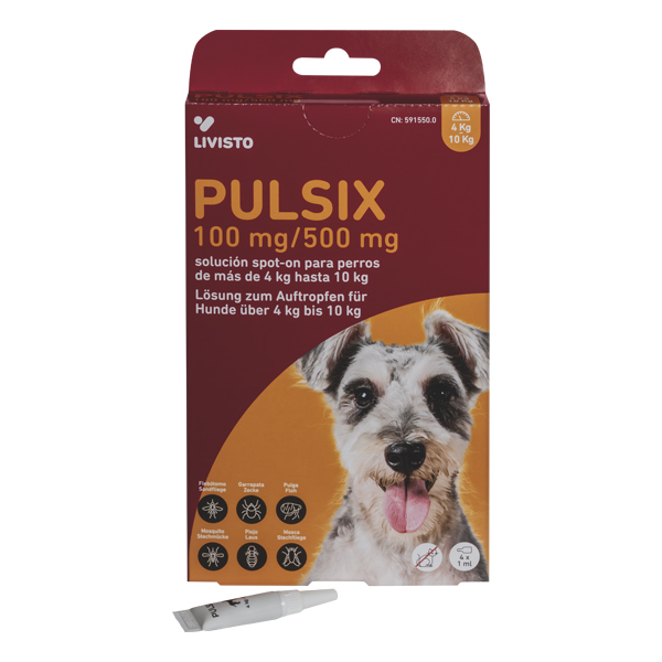 PULSIX 100 mg/500 mg