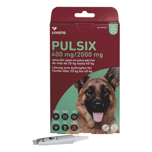 PULSIX 400 mg/2000 mg